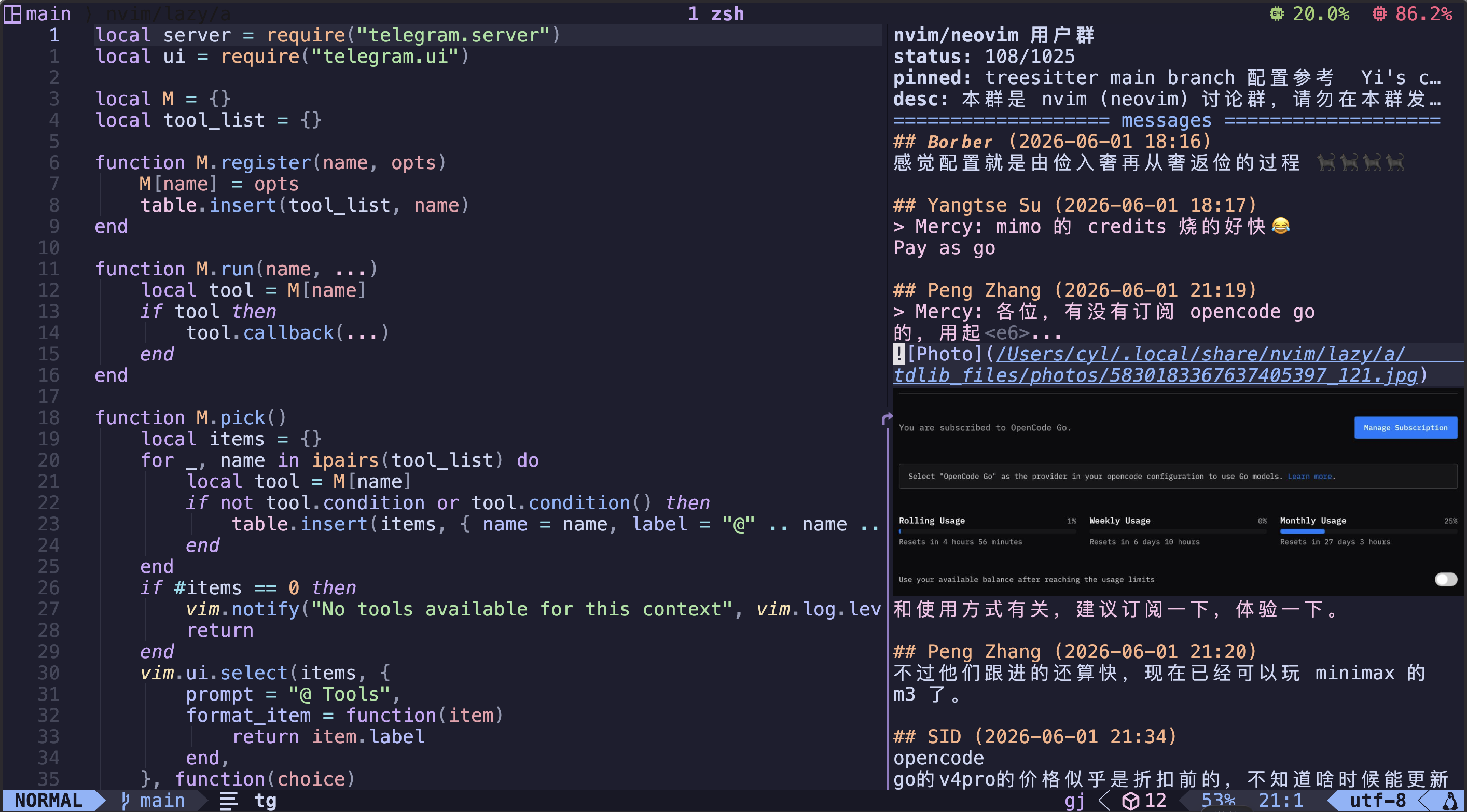 telegram.nvim chat view